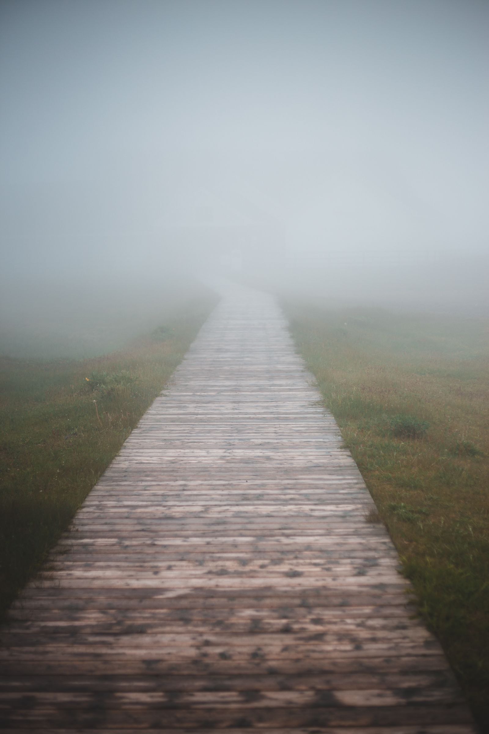 Sendero de madera que se adentra en la niebla